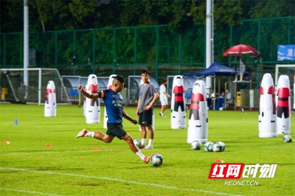 这种情感纽, 来自中南大 这种情感纽, 来自中南大