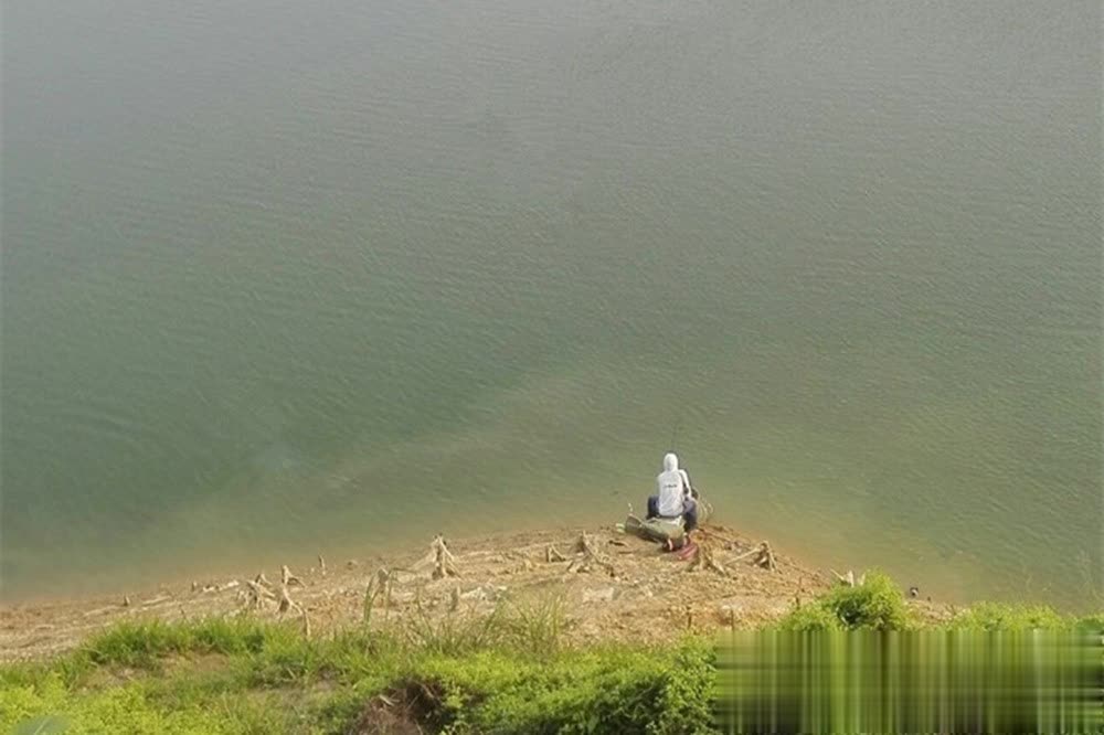 关键还在于, 也有浅水的, 一定是钓鱼 关键还在于, 也有浅水的, 一定是钓鱼