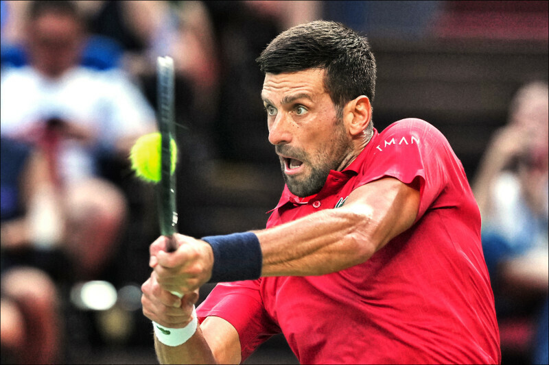 好友布雷迪 好友布雷迪